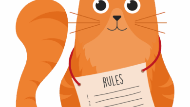 The Ultimate Guide to Copyright, Creative Commons, and Fair Use for Teachers, Students, and Bloggers